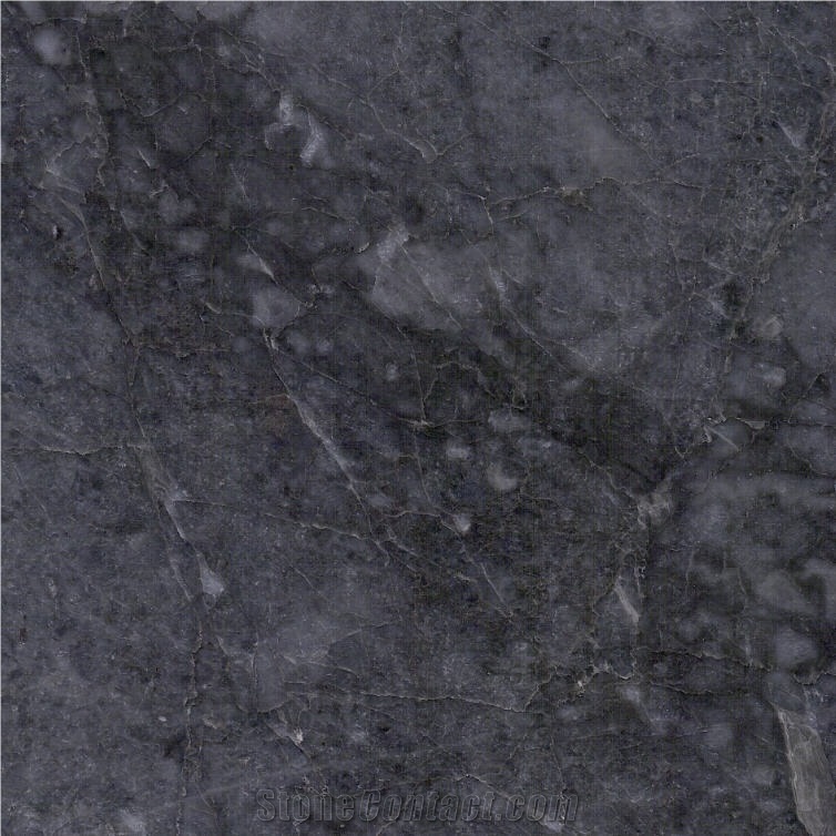 Era Silver Marble Tile