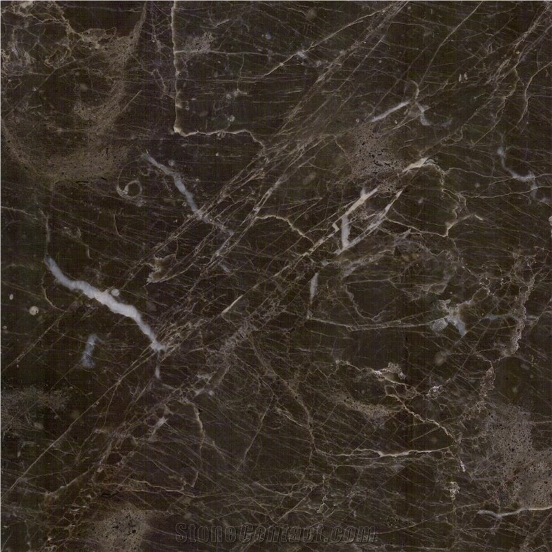 Eunika Grey Marble importance=