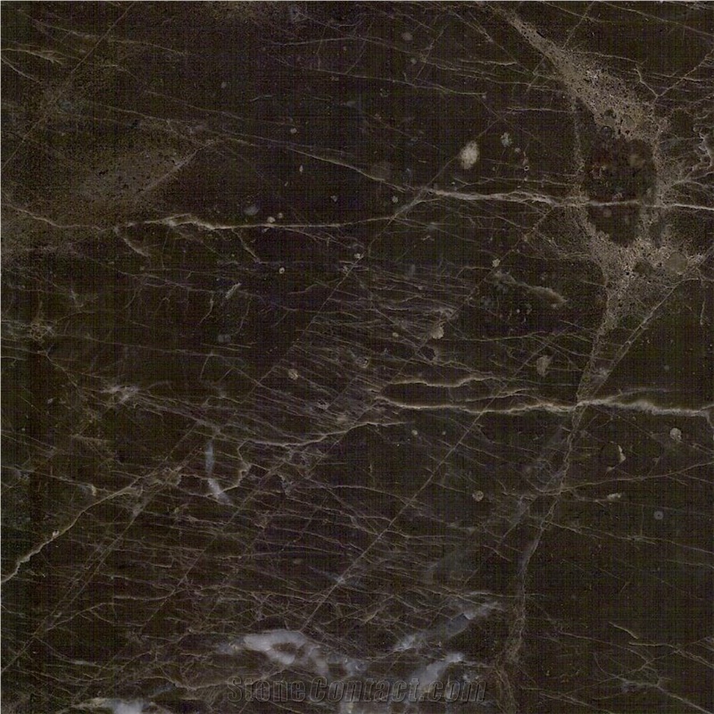 Eunika Grey Marble Tile