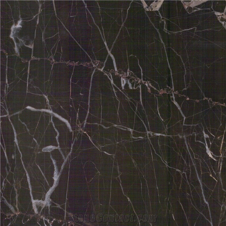 Europe Marble Tile