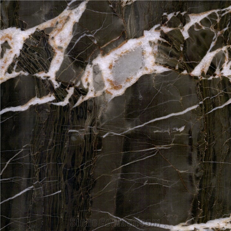 European Network Marble Tile