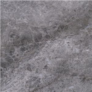 Fantasy Grey Marble