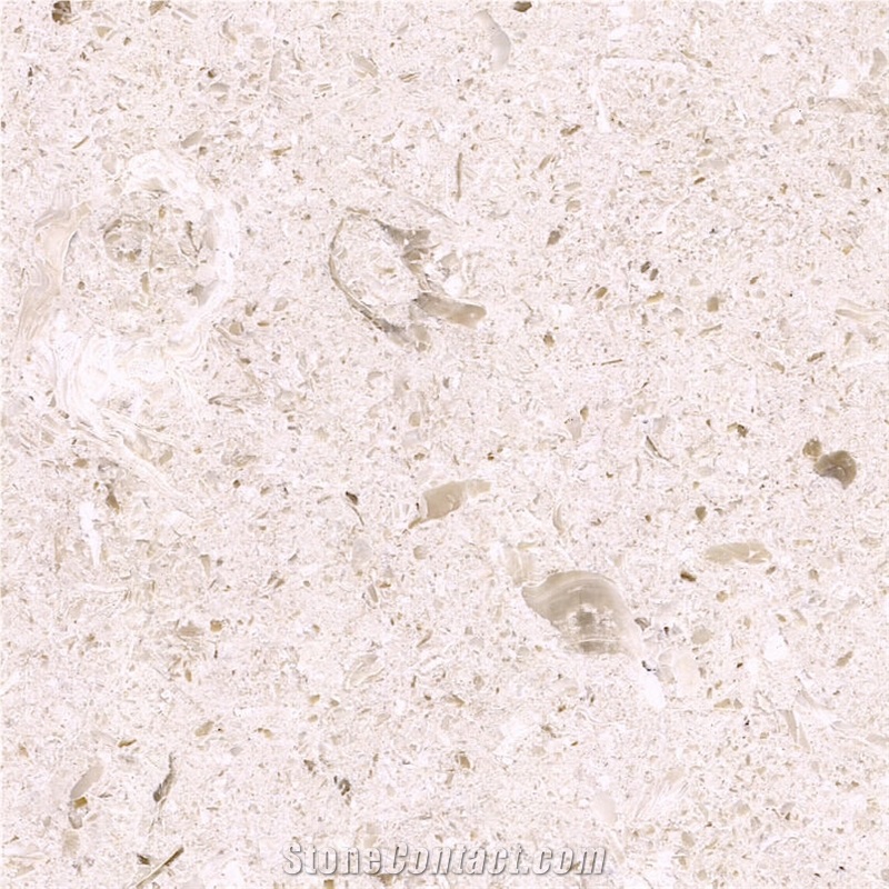 Filetto Hasana Marble Tile