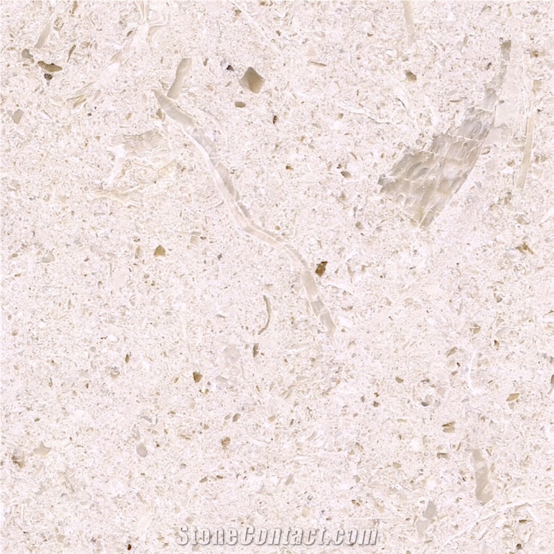 Filetto Hasana Marble Tile