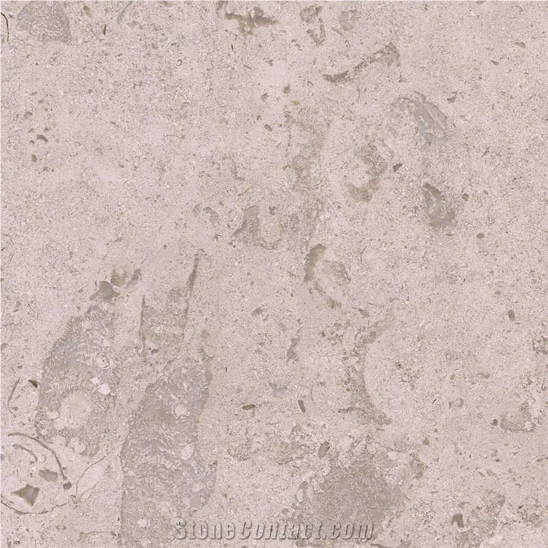 Filstone Beije Fossil importance=