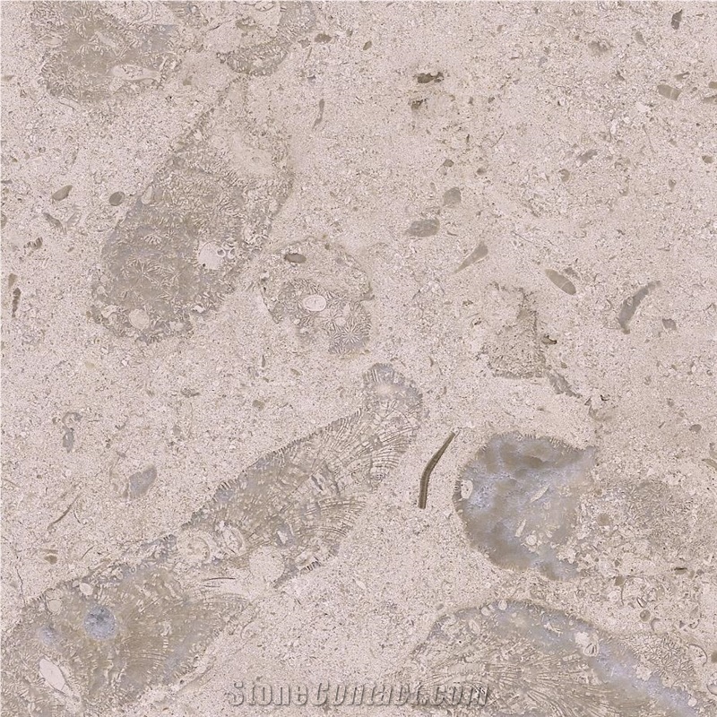 Filstone Beije Fossil Tile