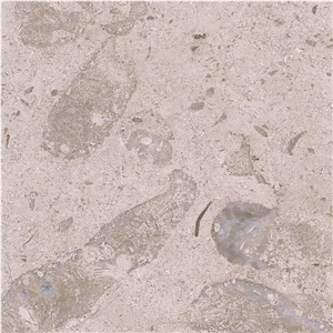 Filstone Beije Fossil Tile