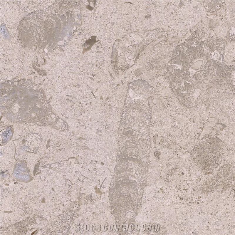 Filstone Beije Fossil Tile