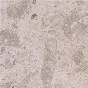 Filstone Beije Fossil Tile