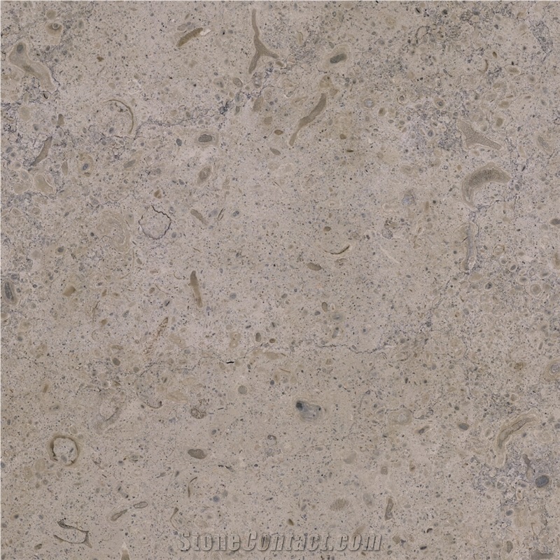 Filstone Grey ML importance=