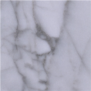 Fine Lines Snow White Marble Tile
