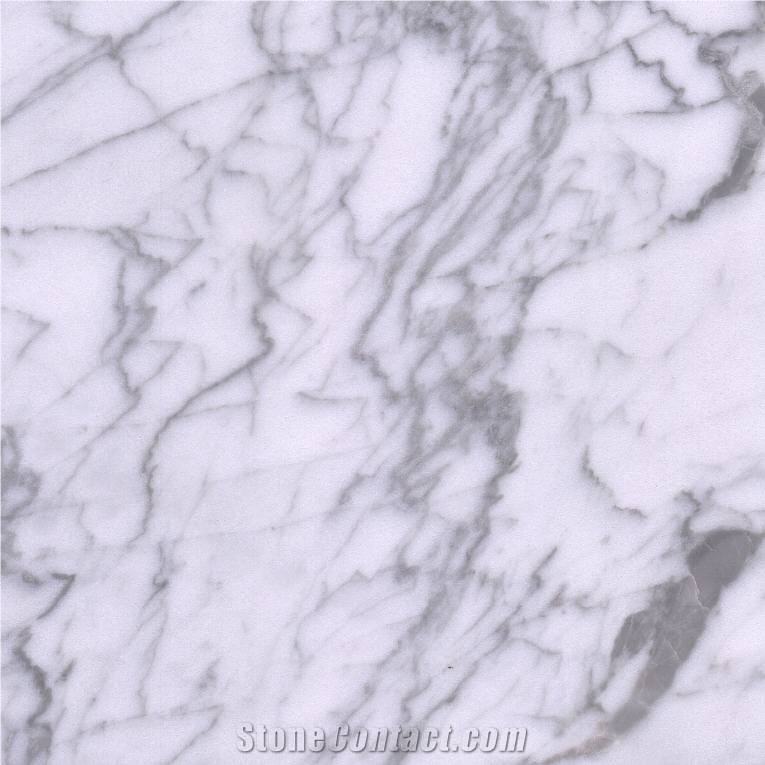 Fine Lines Snow White Marble Tile