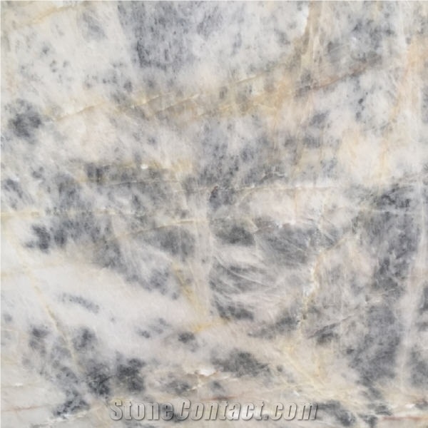 Fontaine Blue Quartzite importance=