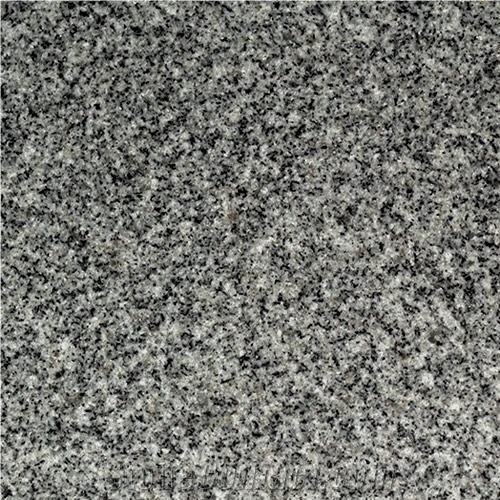 Forest Grey Granite importance=