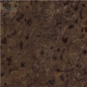 Fossil Brown Quartzite