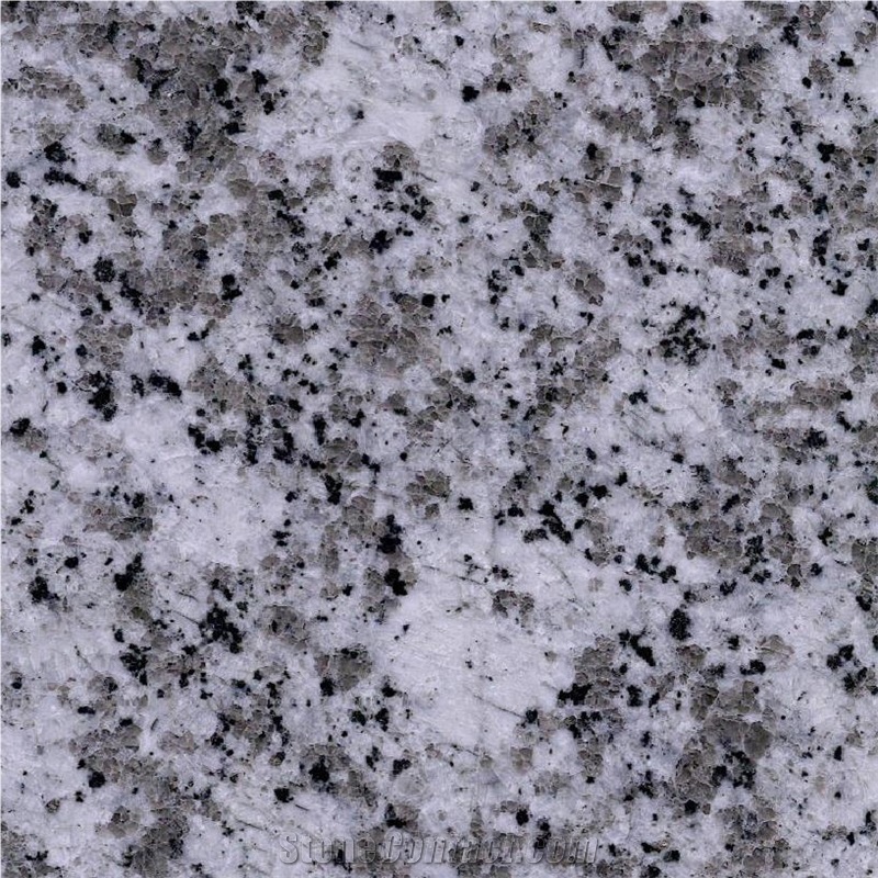 G439 Granite importance=