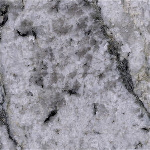 Gangdise White Granite Tile