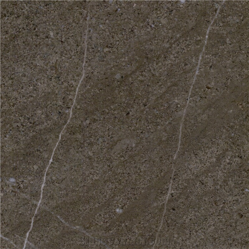 Gaudi Grey Marble Tile