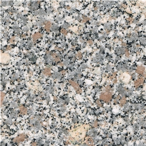 Ghiandone Gallura