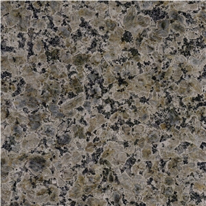 Giallo Champagne Granite Tile