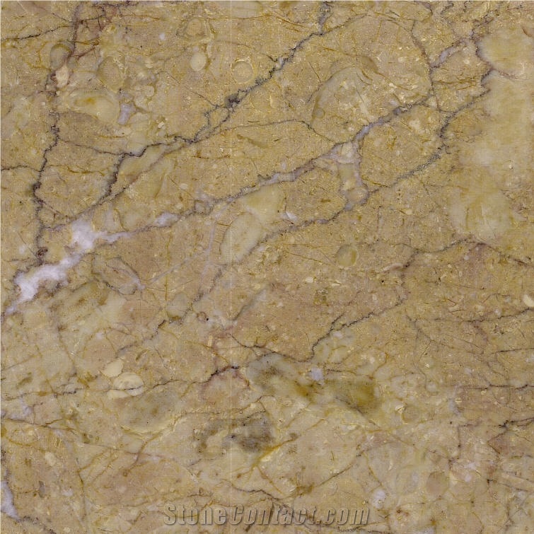 Giallo Samad Marble Tile