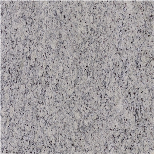 Giallo SF Real White Tile