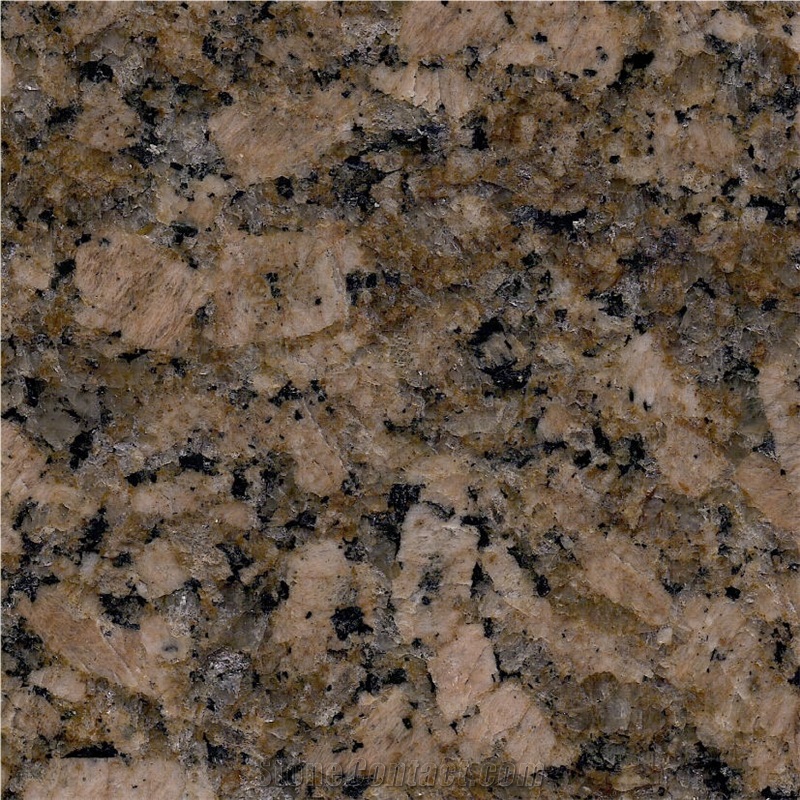 Giallo Veneziano Granite importance=