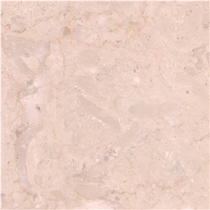 Gingember Marble