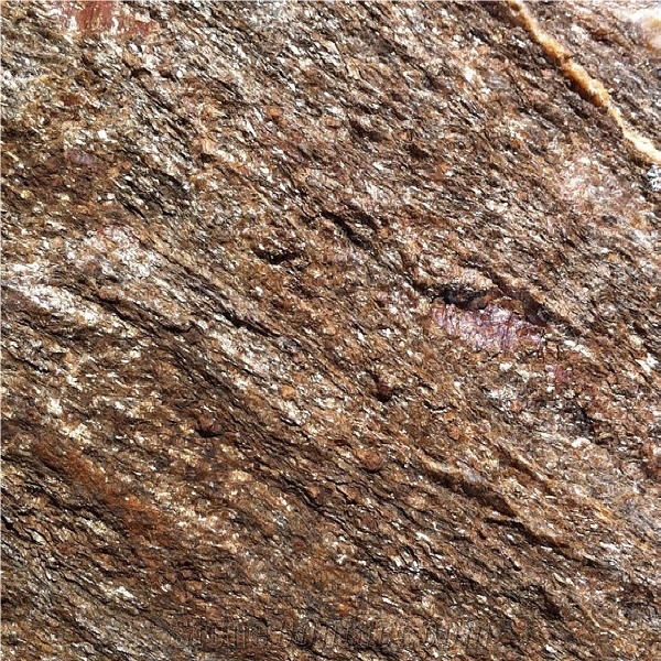 Gneiss Targu Mures importance=