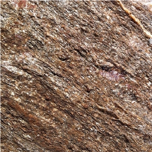 Gneiss Targu Mures