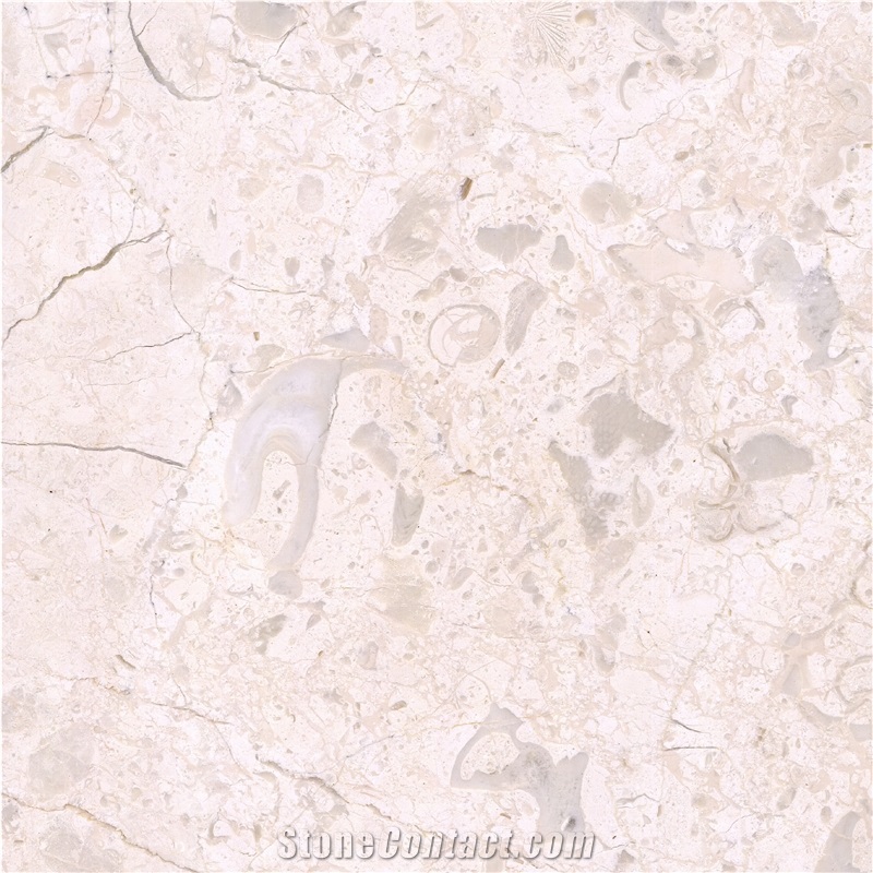 Gold Butterfly Marble importance=