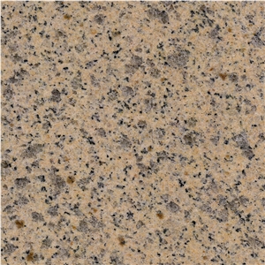 Gold Dyed Granite Tile