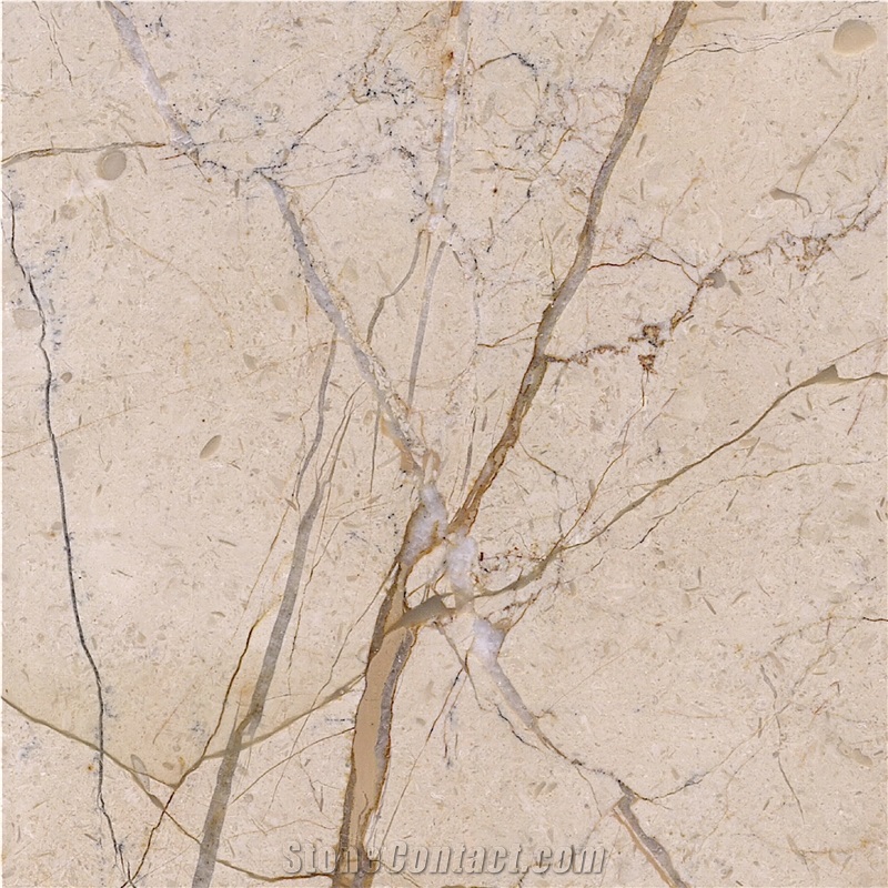 Gold Net Beige Marble importance=
