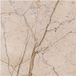 Gold Net Beige Marble