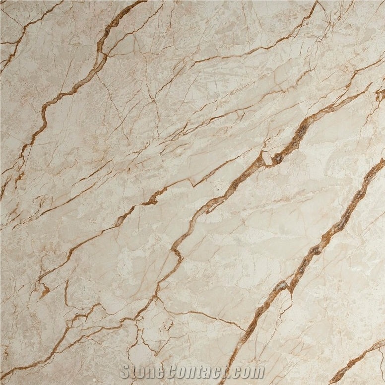 Gold Net Beige Marble Tile