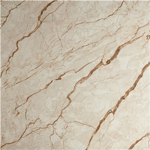 Gold Net Beige Marble Tile