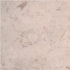 Gold Veil Limestone