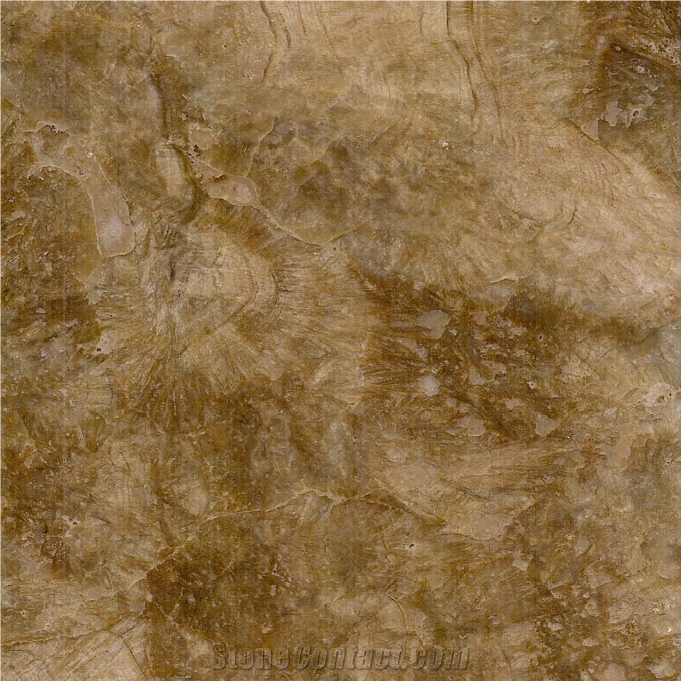 Gold Wood Grain Onyx Tile