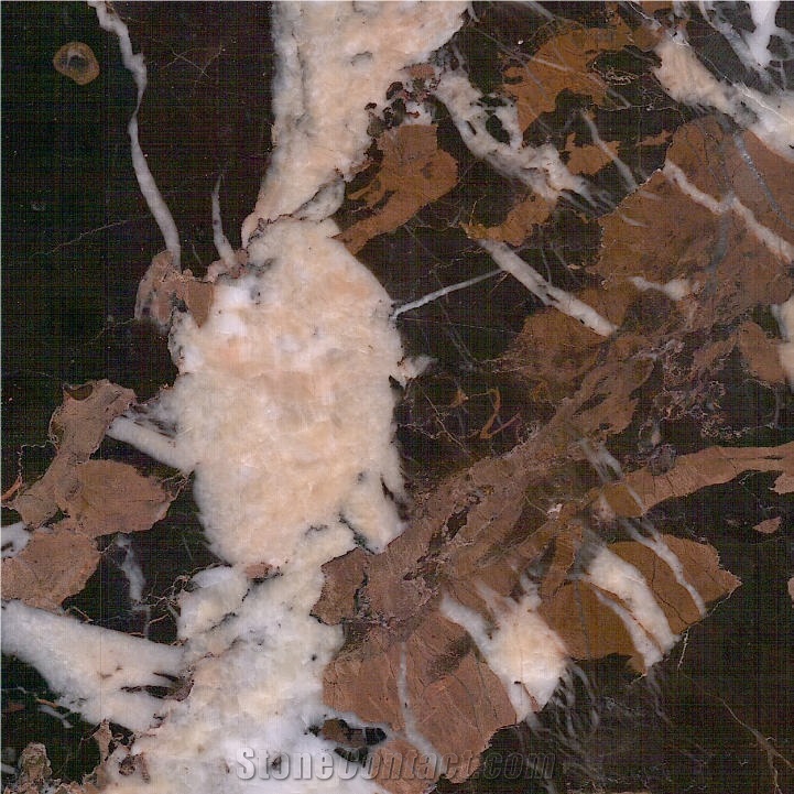 Goldano Marble importance=