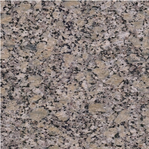 Golden Autumn Granite