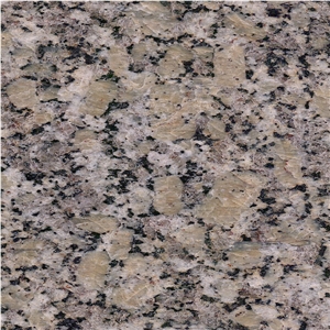Golden Autumn Granite Tile
