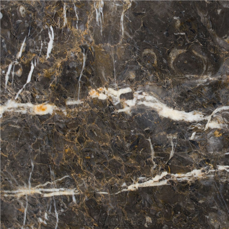 Golden Brown Marble importance=
