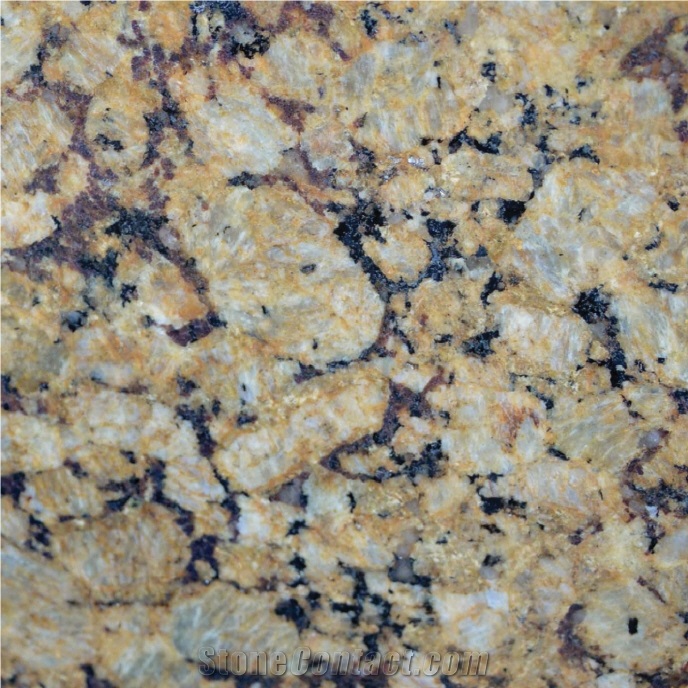 Golden Butterfly Granite Tile