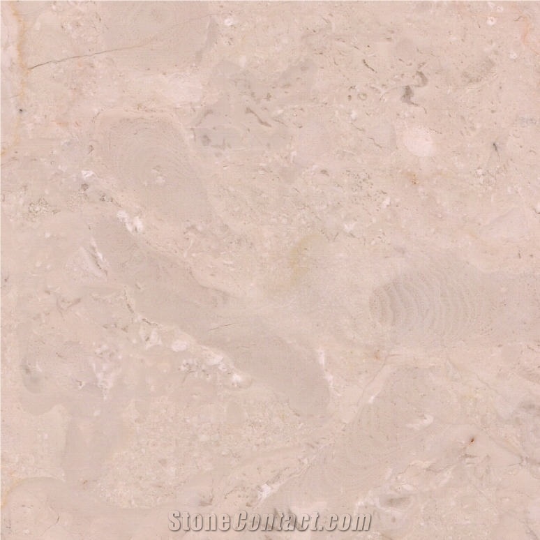 Golden Butterfly Marble Tile