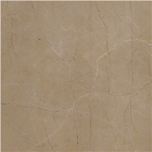 Golden Century Marble Tile