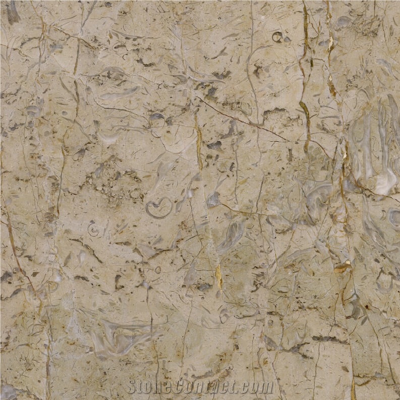 Golden Flower Limestone importance=