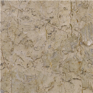 Golden Flower Limestone