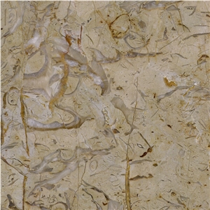 Golden Flower Limestone Tile