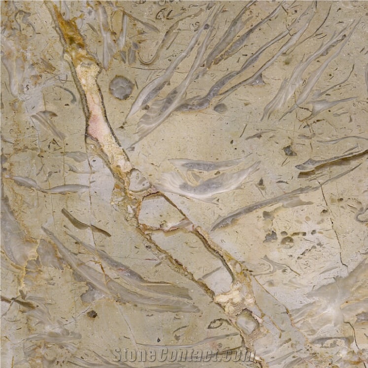 Golden Flower Limestone Tile