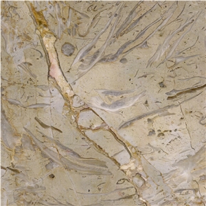 Golden Flower Limestone Tile